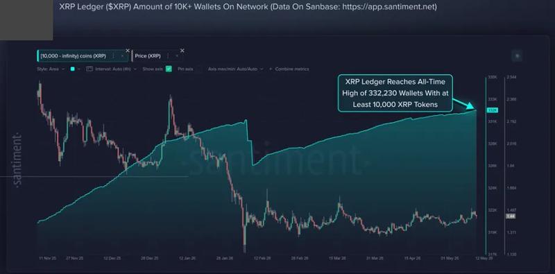 XRP Ledger whale wallets chart