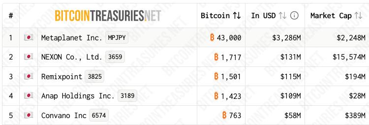 Remixpoint Bitcoin holdings ranking