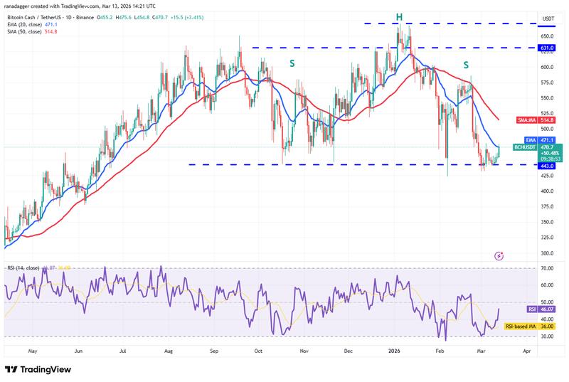 BCH/USDT daily chart