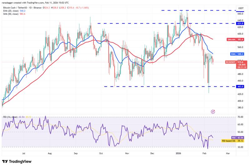 BCH/USDT daily chart