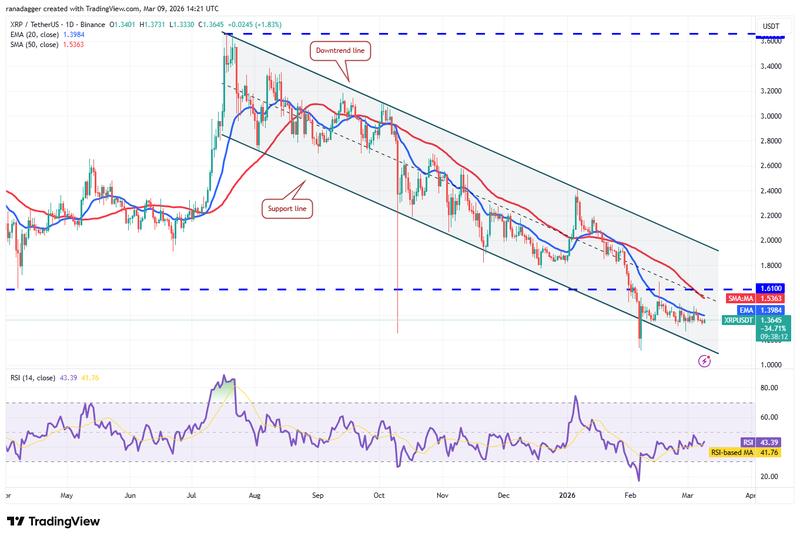 XRP/USDT daily chart