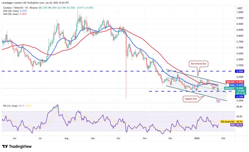ADA/USDT daily chart