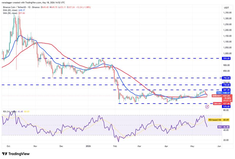 BNB/USDT daily chart