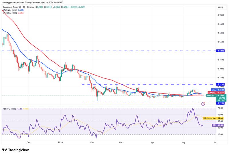ADA/USDT daily chart