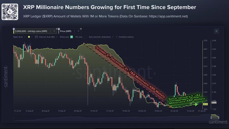 The number of XRP millionaire wallets