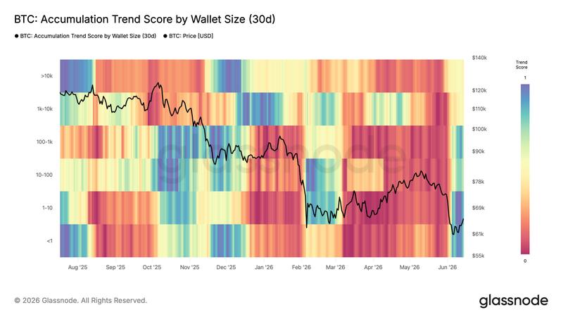Bitcoin accumulation trend score data