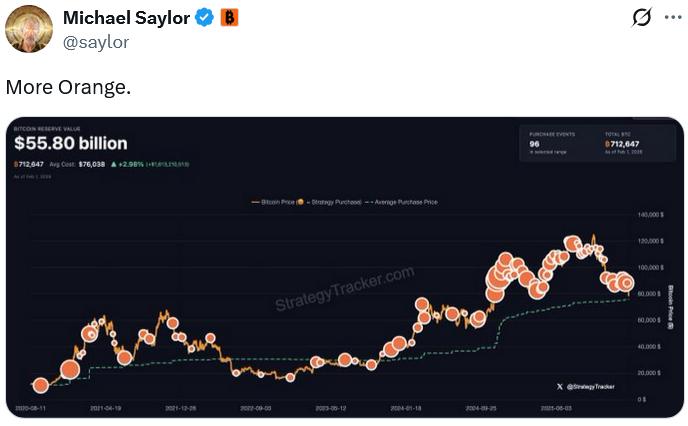 Michael Saylor's Bitcoin purchase chart