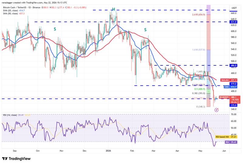 BCH/USDT daily chart