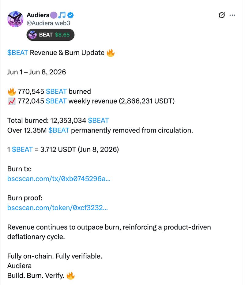 Audiera revenue and burn data