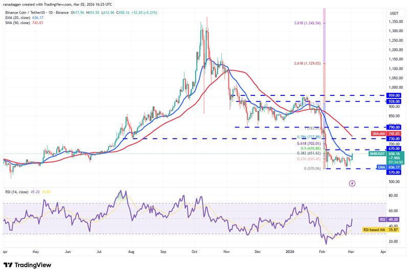 BNB/USDT daily chart