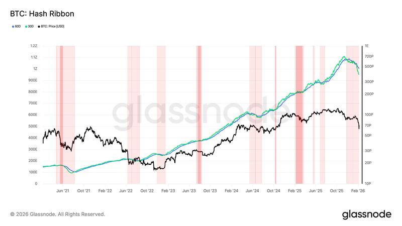 BTC Hash Ribbon vs. price chart