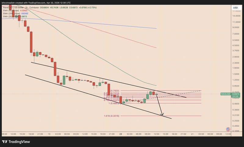 RAVE/USD hourly chart