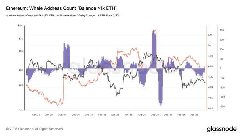 Ethereum whale and shark address count balance