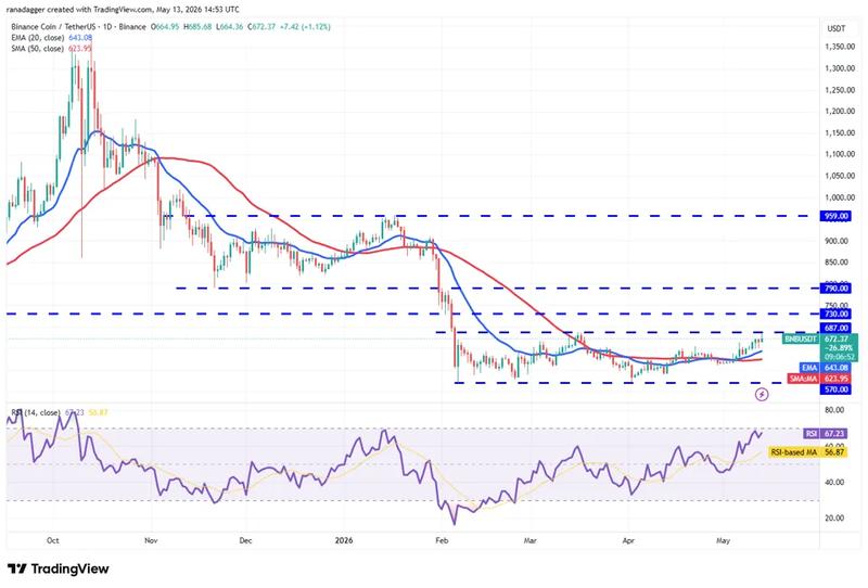 BNB/USDT daily chart