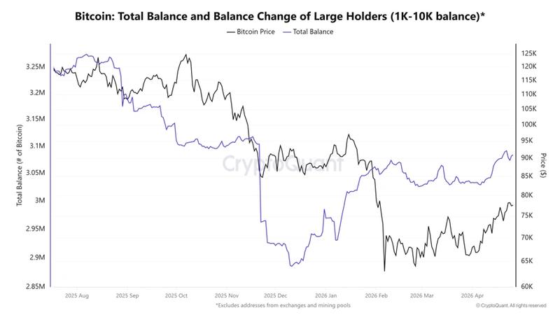 Total BTC balance of large holders chart