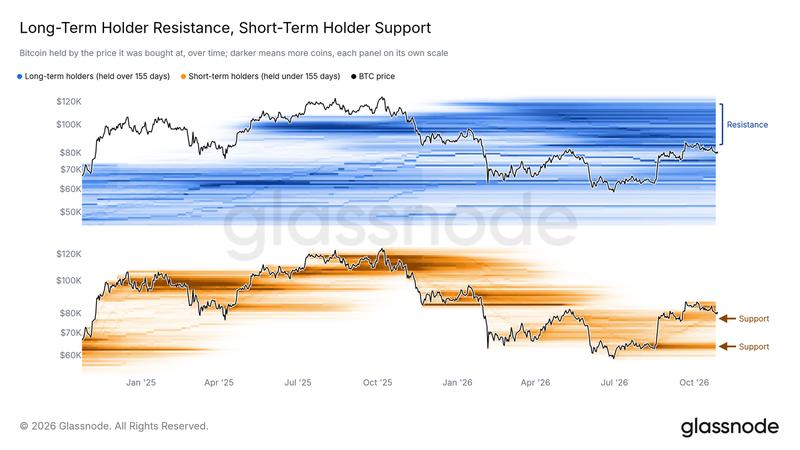 Bitcoin supply data by investor cohort