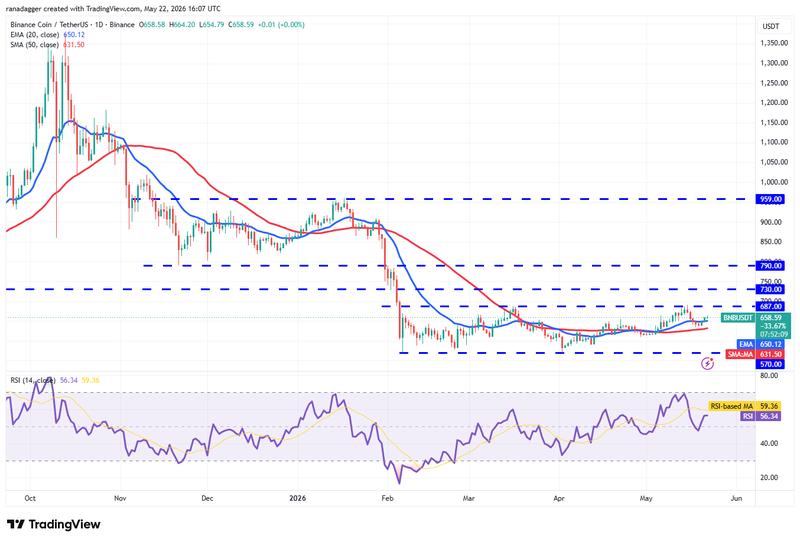BNB/USDT daily chart