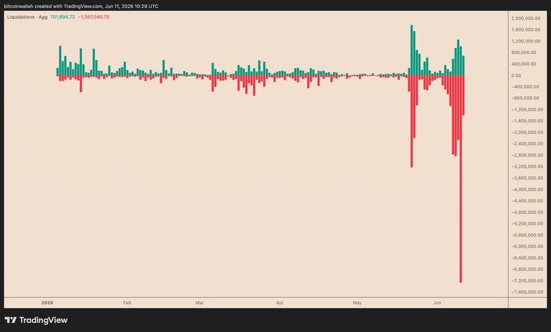 BEAT's daily aggregated liquidation bar chart