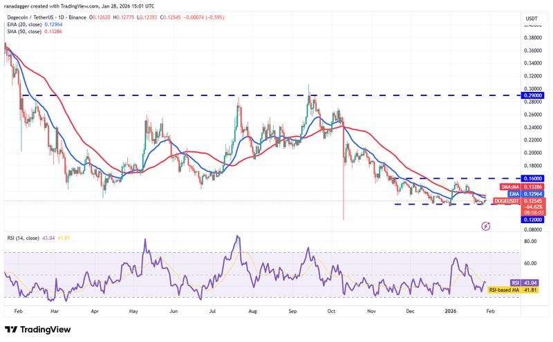 DOGE/USDT daily chart