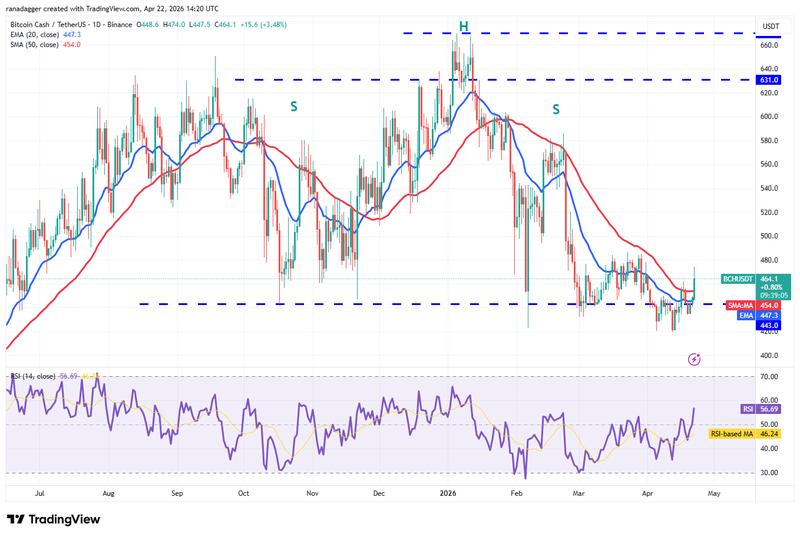 BCH/USDT daily chart