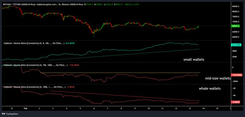 Bitcoin CVD data across different wallet sizes