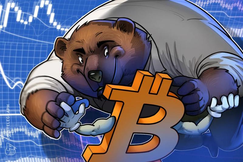 Bitcoin Holdings in Positive Territory Approach Historical Bear Market Thresholds