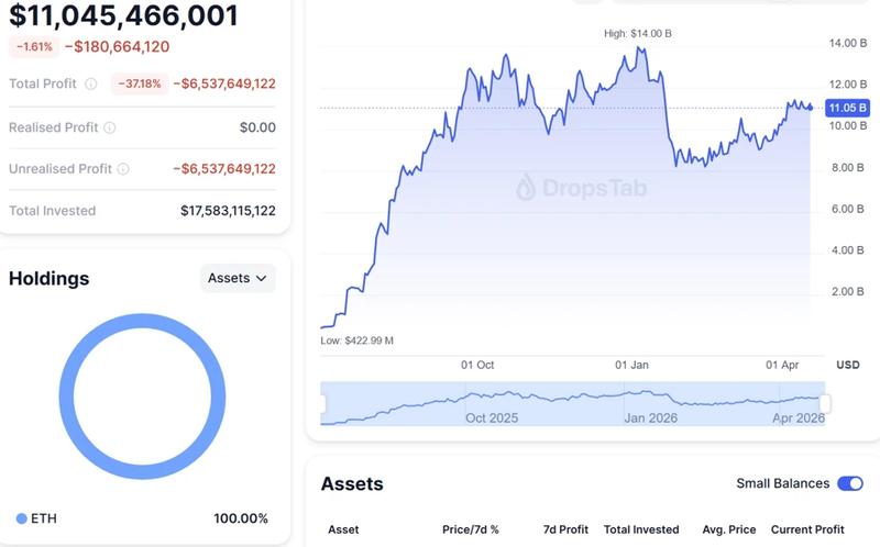 BitMine unrealized losses chart