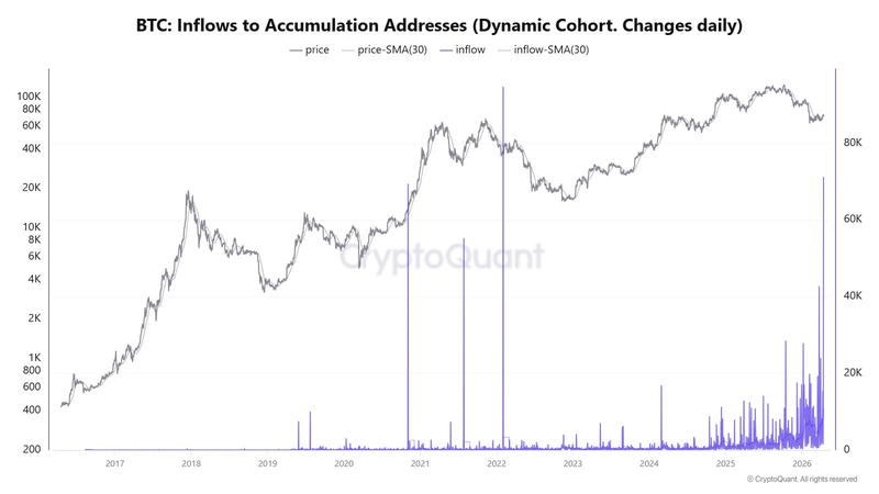 Cryptocurrencies, Bitcoin Price, Adoption, Markets, Cryptocurrency Exchange, Binance, Price Analysis, Market Analysis, Liquidity, Whale
