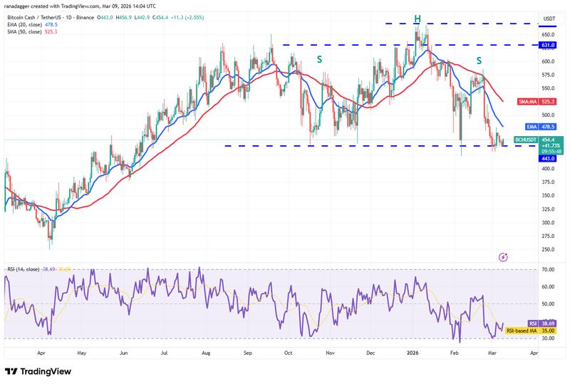 BCH/USDT daily chart