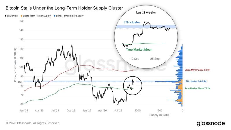 Bitcoin long-term holder supply data