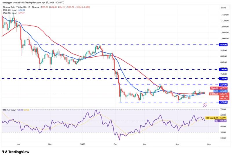 BNB/USDT daily chart