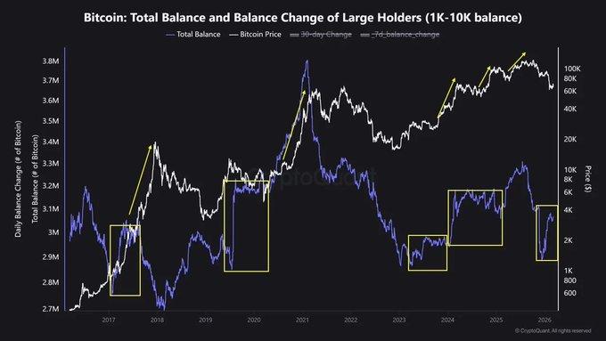 Bitcoin total balance and balance change of large holders