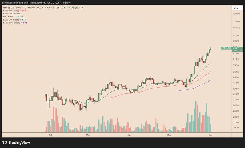 HYPE/USD daily chart