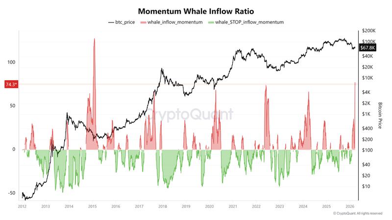 Bitcoin momentum whale inflow ratio