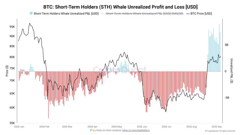 Bitcoin STH whale unrealized profit and loss chart