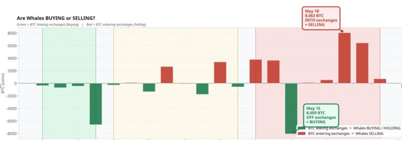 Bitcoin whale activity