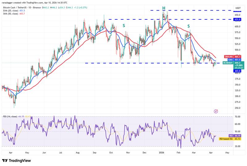 BCH/USDT daily chart
