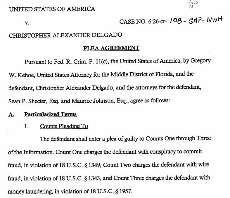 Excerpt of the plea agreement