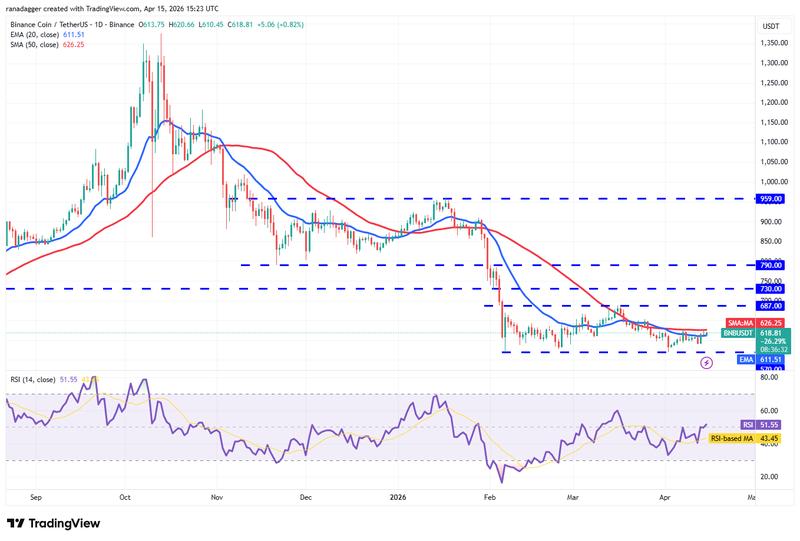 BNB/USDT daily chart