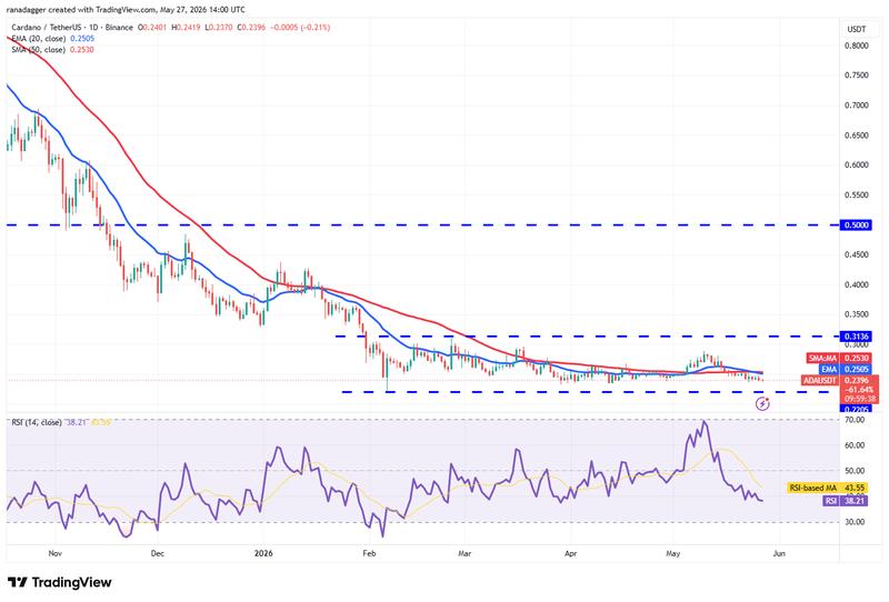 ADA/USDT daily chart