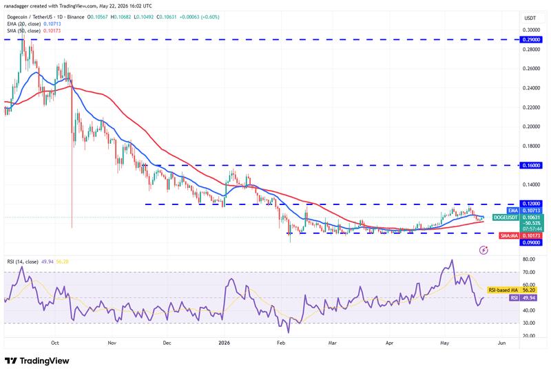 DOGE/USDT daily chart