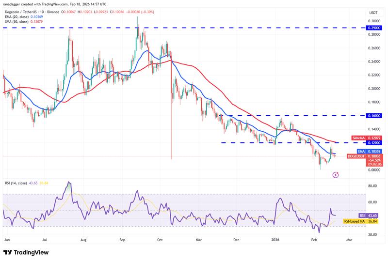 Daily DOGE/USDT price chart