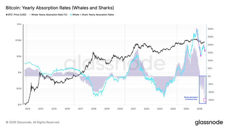 Bitcoin yearly absorption rates by whales and sharks