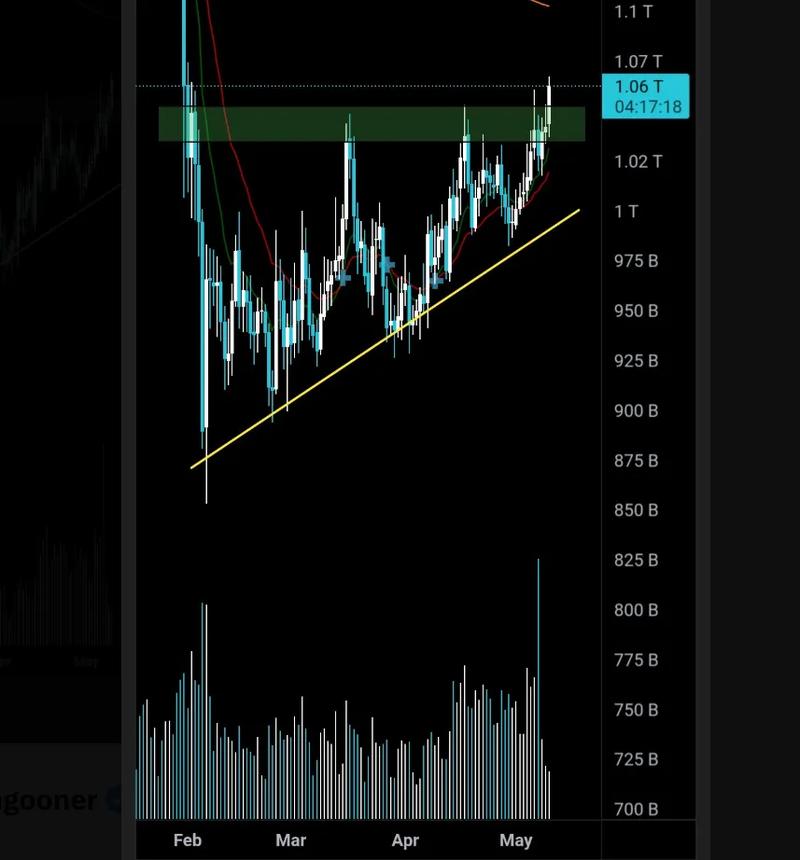 TOTAL2 daily chart