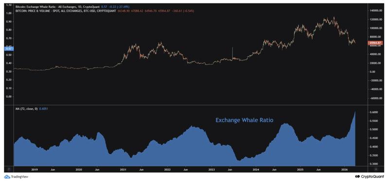 Bitcoin exchange whale ratio