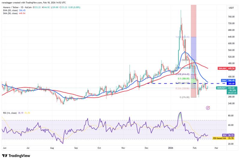 Daily XMR/USDT price chart