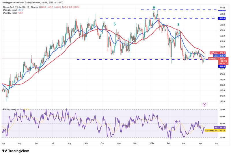 BCH/USDT daily chart