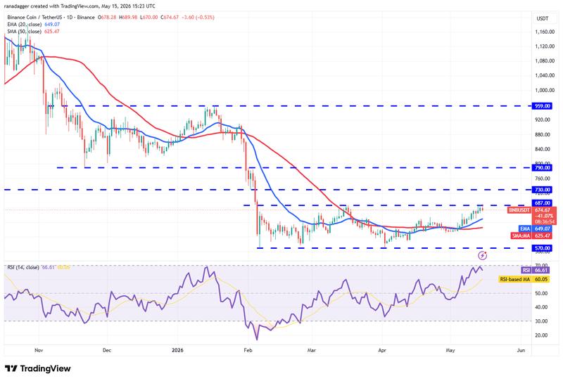 BNB/USDT daily chart