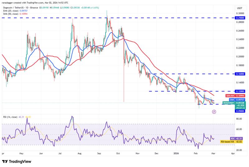 DOGE/USDT daily chart