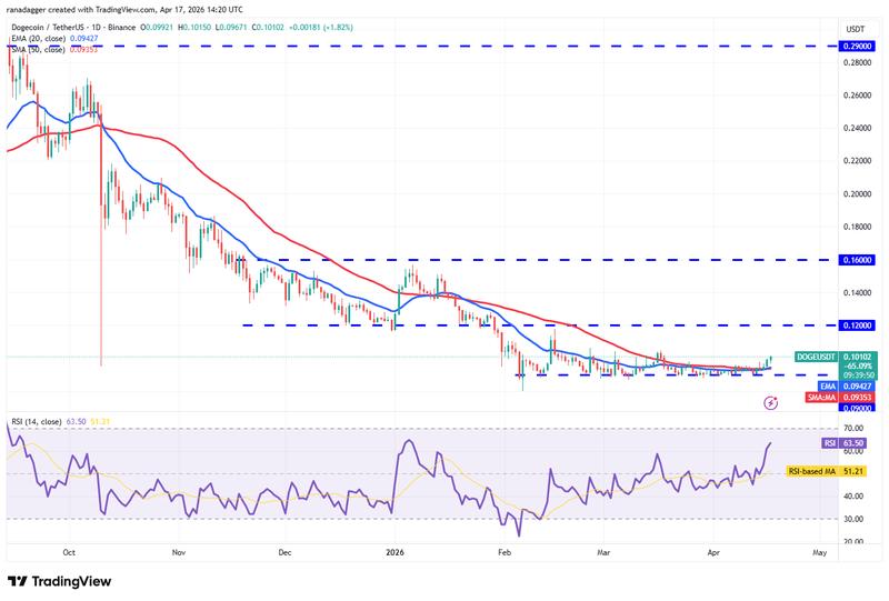 DOGE/USDT daily chart